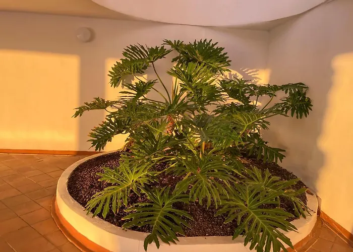 Apartman Sunrise Costa Adeje (Tenerife)